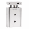 Dual Rod Cylinder CXSM
