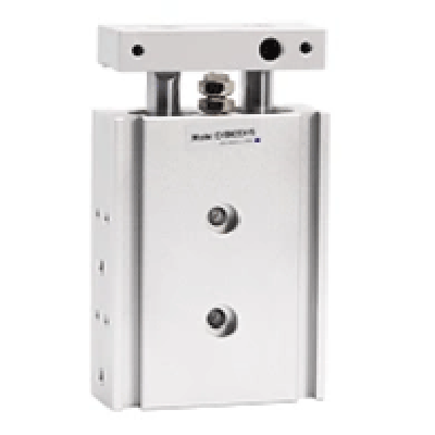Dual Rod Cylinder CXSM